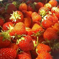 Profile Image for Ashley Adkins.