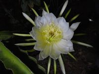Profile Image for Marie Smith.