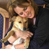 Profile Image for Julie Williamson.