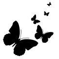 Profile Image for RaquelSC.