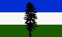 Profile Image for Sean Rubbo.