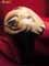 Profile Image for Ladislav Šoltys.