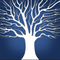 Profile Image for MU.