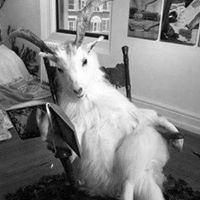 Profile Image for José Álvarez Vera.