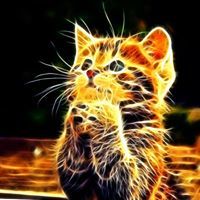 Profile Image for Imran Jameel.