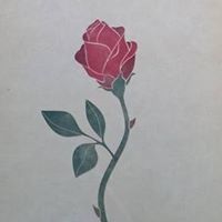 Profile Image for Laura Joshlyn.