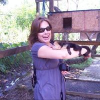 Profile Image for Tresa Johnston.