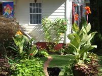 Profile Image for Minino Minino.