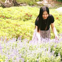 Profile Image for Oanh Mai.