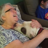 Profile Image for Theresa Stiner.