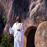 Profile Image for Lynn Bell.