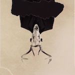 Profile Image for HUBRIS-LIBRIS.