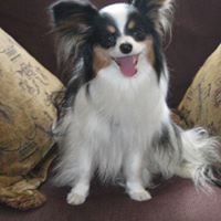 Profile Image for Suzanne Domoracki.