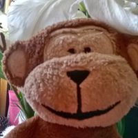 Profile Image for Mrs Susan Bray.