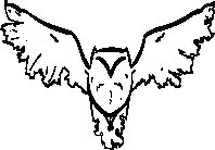 Profile Image for Genevieve Raas.