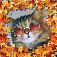 Profile Image for Deb.