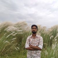 Profile Image for Nazrul Islam.