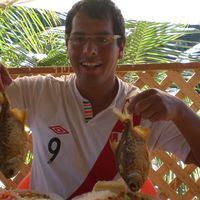 Profile Image for Raul Huillca Huallparimachi.