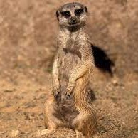 Profile Image for Natalia.