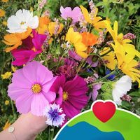 Profile Image for Bea La Fleur.
