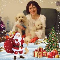Profile Image for Graciela Guffanti.