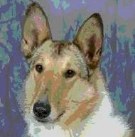 Profile Image for Mary.