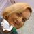 Profile Image for Triin Jõeleht.