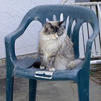 The Epic Fail of Arturo Zamora by Pablo Cartaya Goodreads The Epic Fail of Arturo Zamora by Pablo Cartaya Goodreads